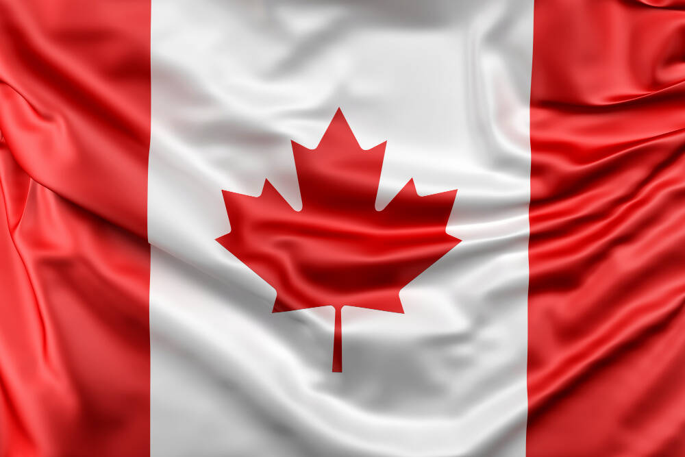 Canada's Best Wood Flowers
