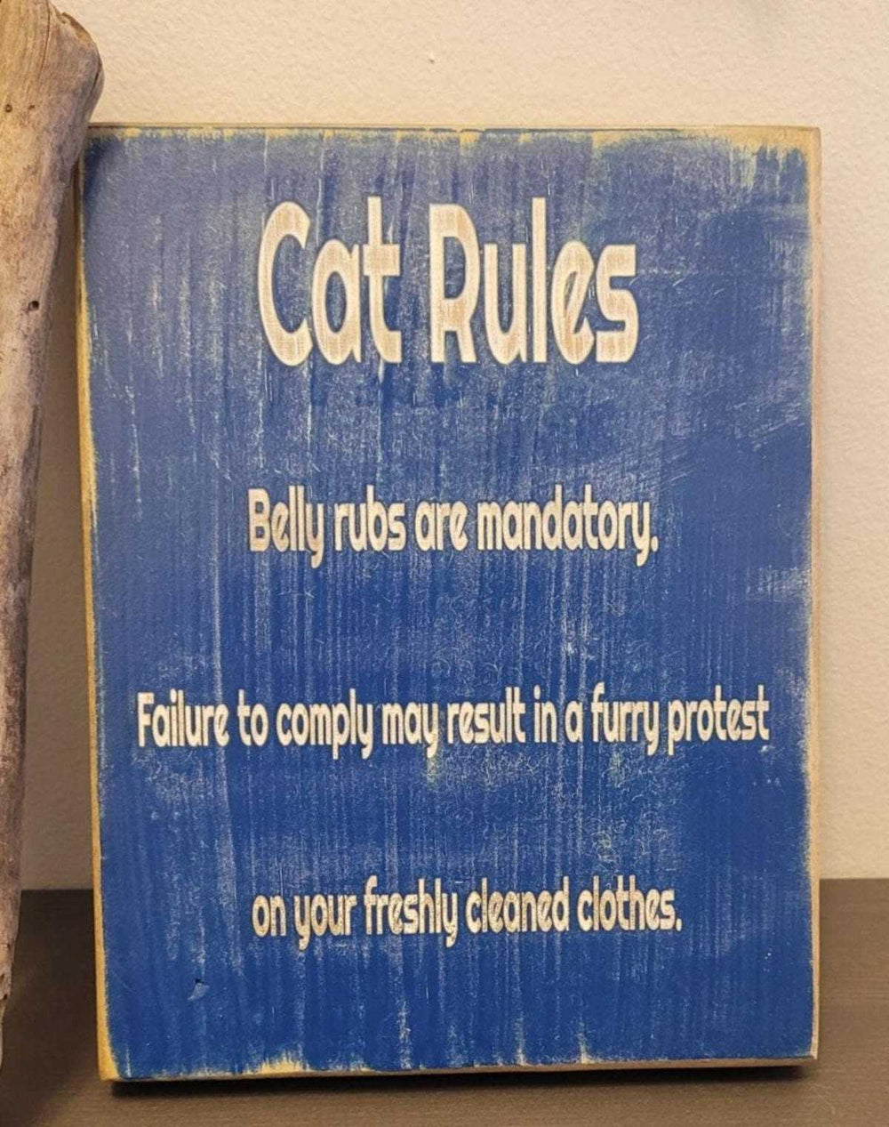 Cat Lovers Laser Engraved Wall Art with humorous cat-themed design, “Cat Rules” text on blue background.
