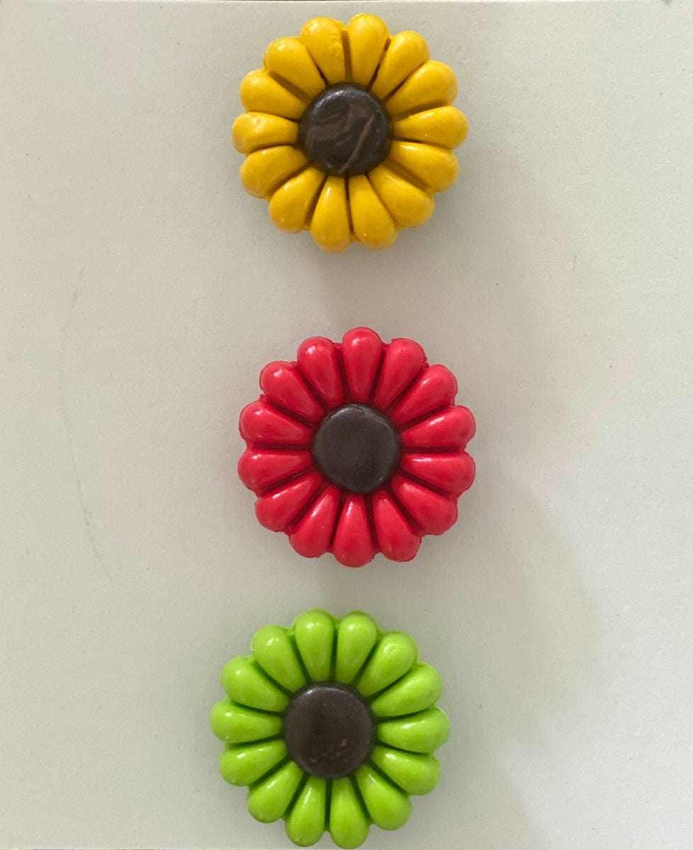 Polyclay Daisy Fridge Magnets in yellow, red, and green, supporting IWK Foundation.