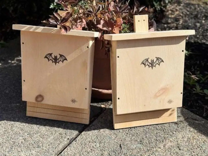 Bat House for Natural Pest Control | Easy Installation