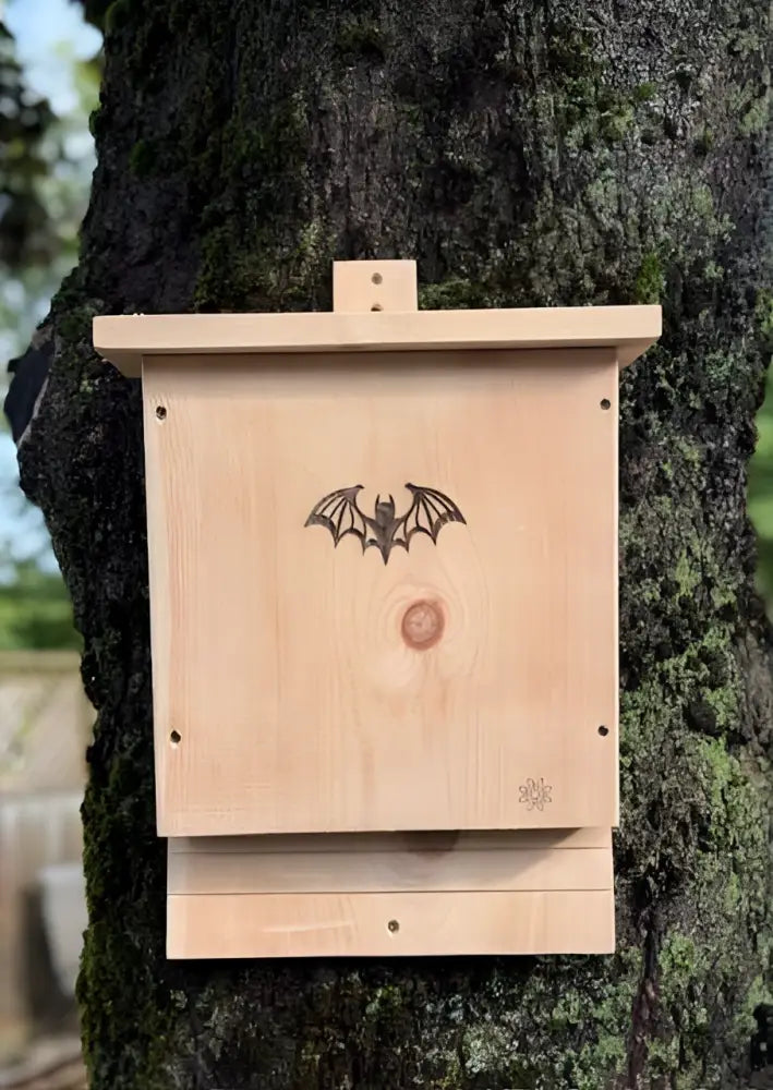 Bat House for Natural Pest Control | Easy Installation