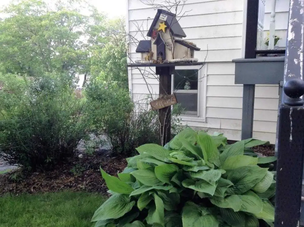 Triple birdhouses mounted on a wooden post in a garden near a house, surrounded by green plants and bushes.