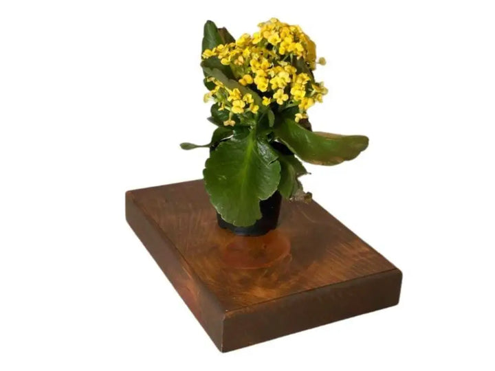 Solid pine wood pedestal riser displaying a potted plant with yellow flowers.