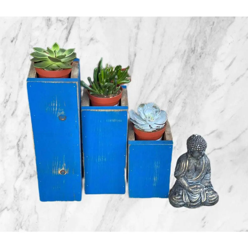 Wooden planter succulent holder set with blue rustic finish and small plants.