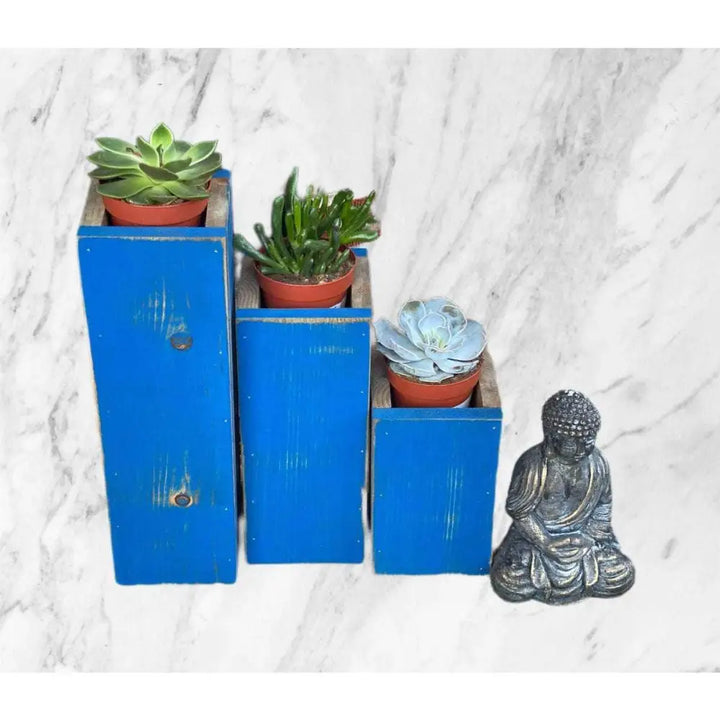 Wooden planter succulent holder set with blue rustic finish and small plants.