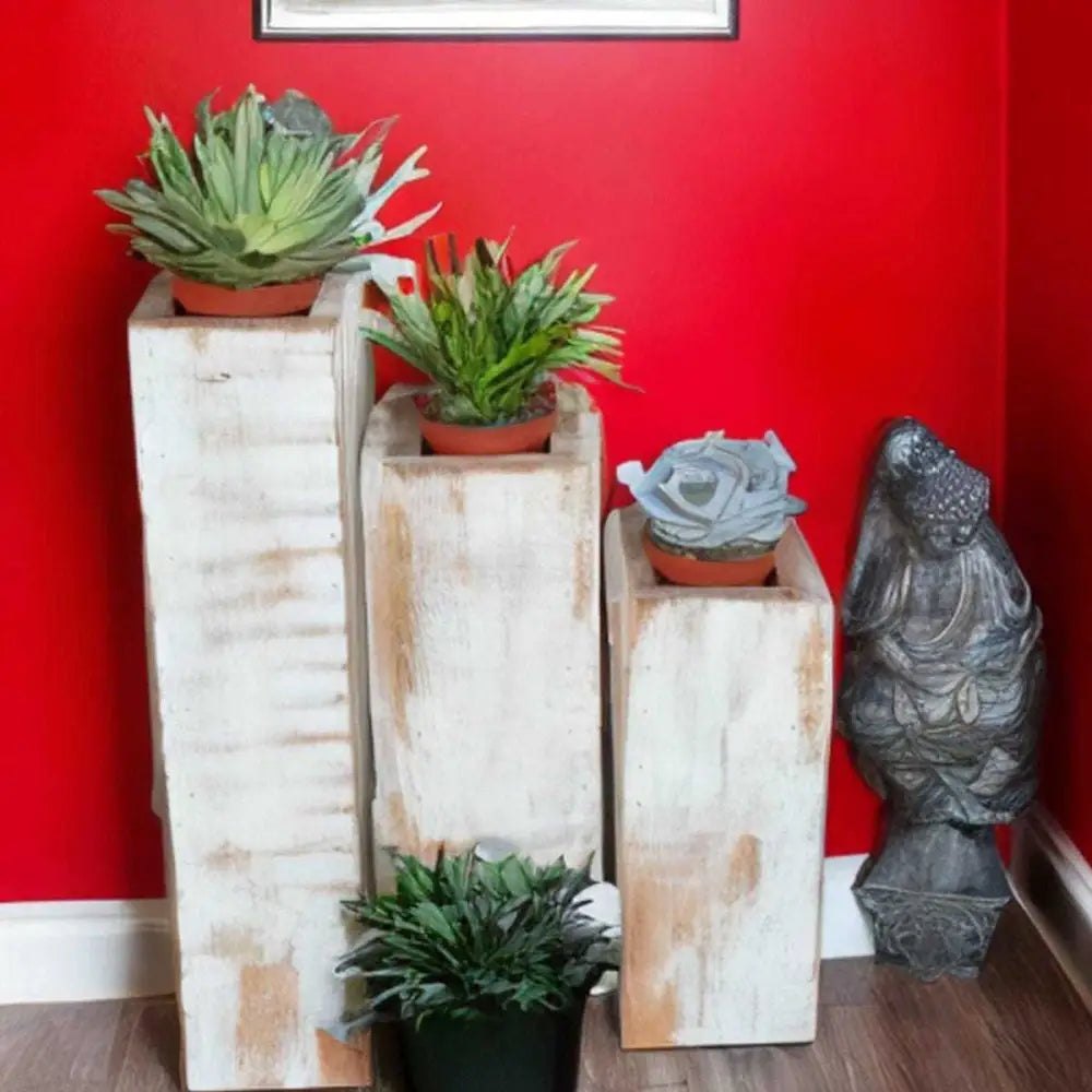 Wooden planter succulent holder set in entryway with red wall background.